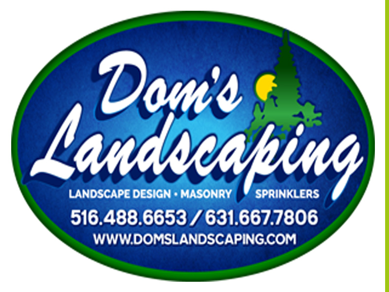 Doms Logo