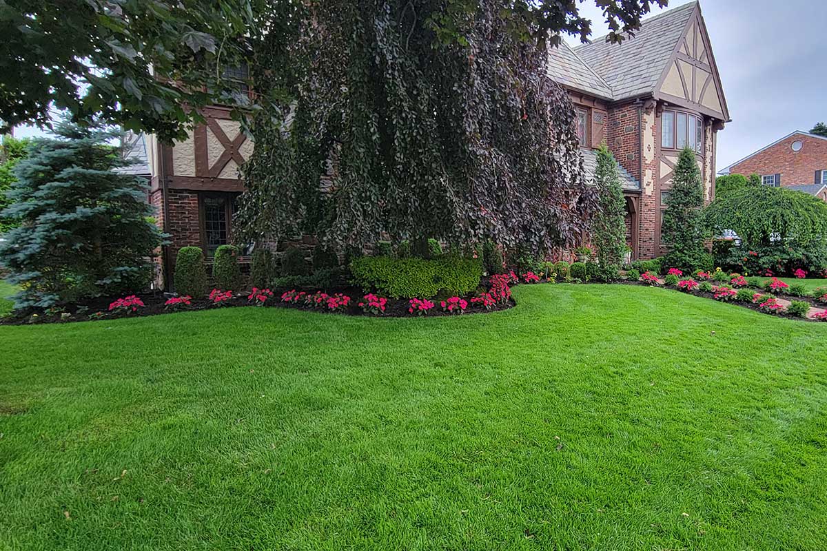 Long Island Landscapers Dom's Landscaping,Inc Residential
