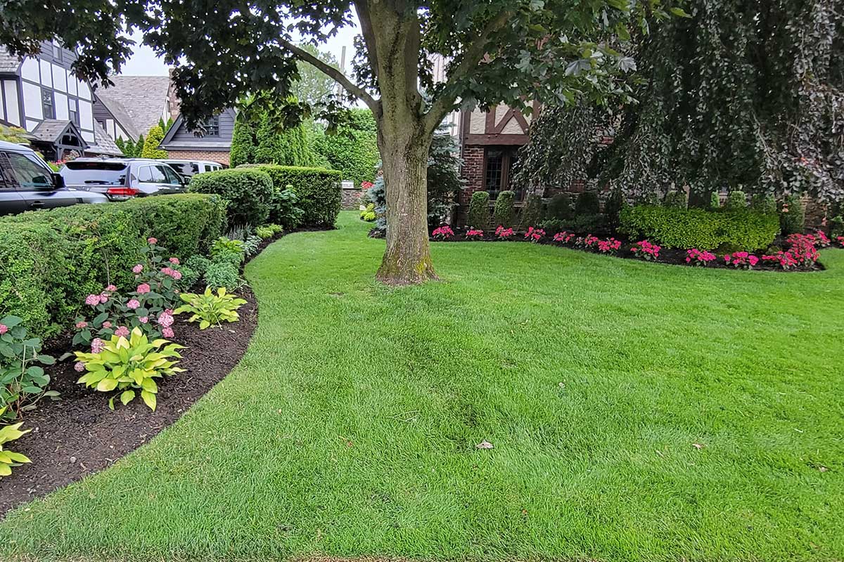 Long Island Landscapers Dom's Landscaping,Inc Residential