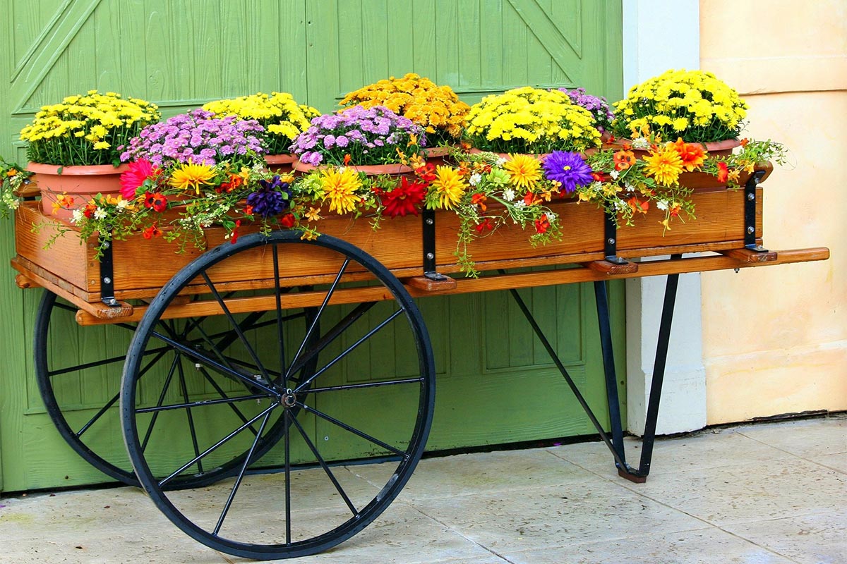 Mums Flower Cart